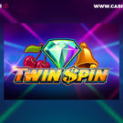 Twin Spin
